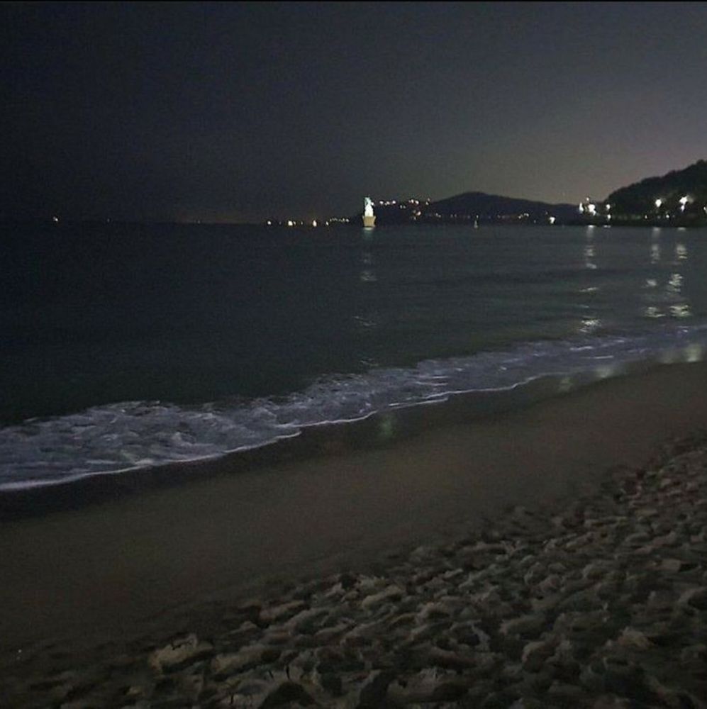 Meet your Posher, Angelica